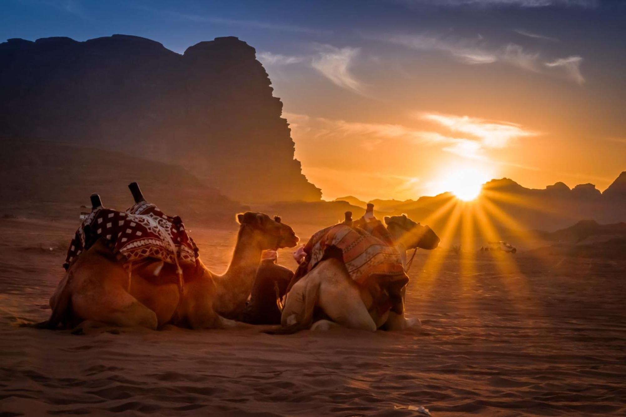 Wadi Rum Mundo Camp Акаба Экстерьер фото